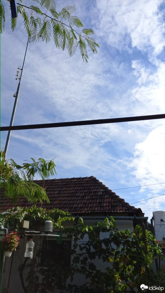 Feketegyarmat