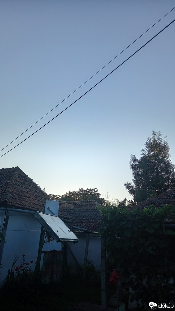 Feketegyarmat