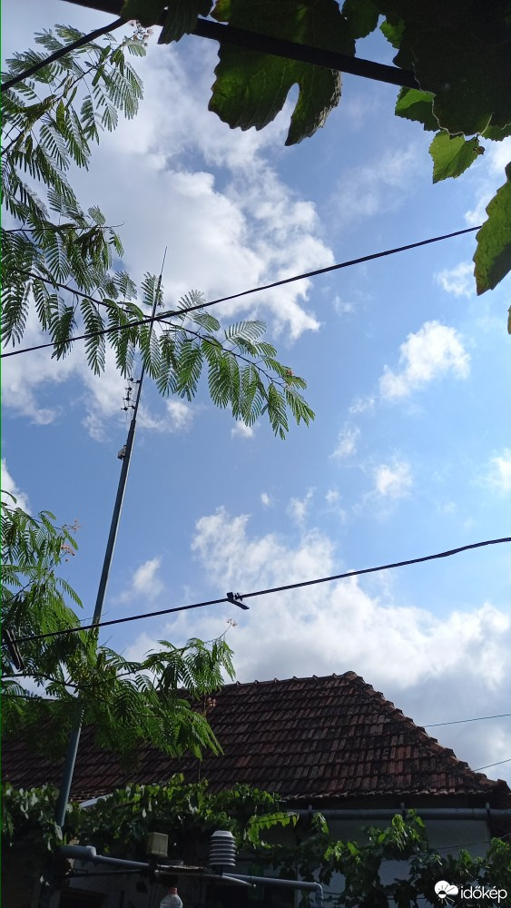 Feketegyarmat