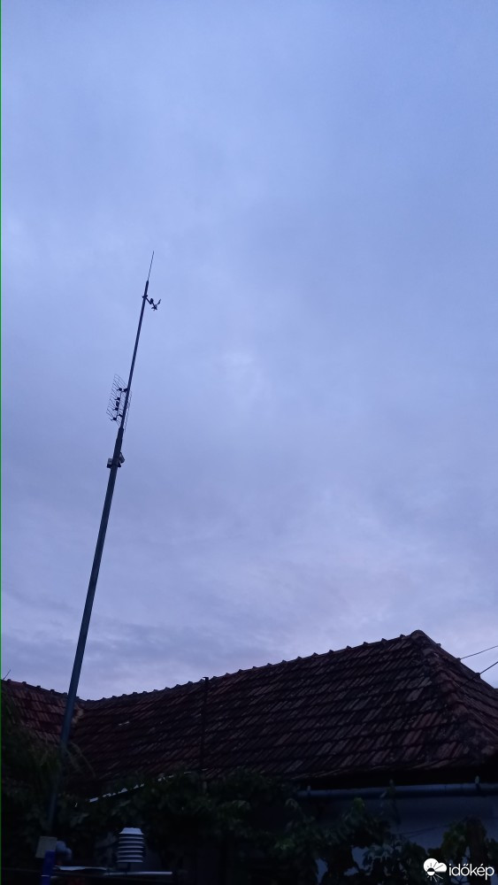 Feketegyarmat