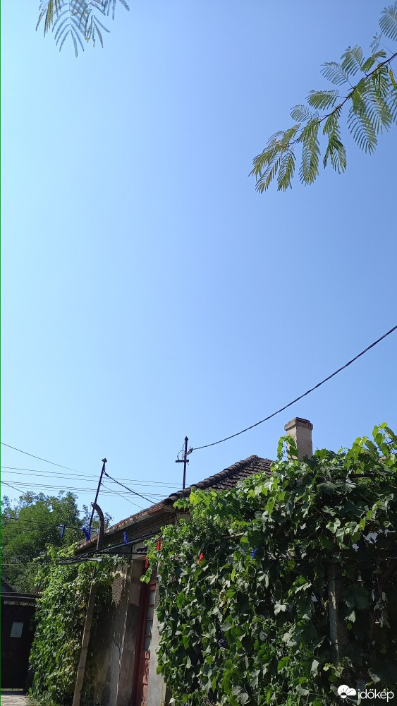 Feketegyarmat