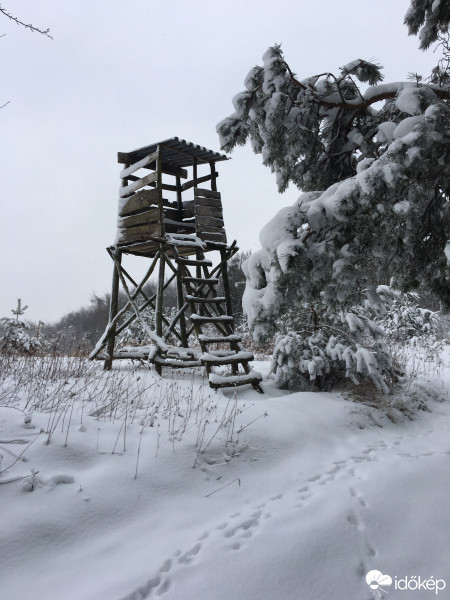 Észlelési fényképek