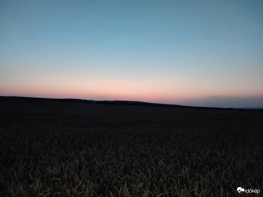 Búza mező naplemente után