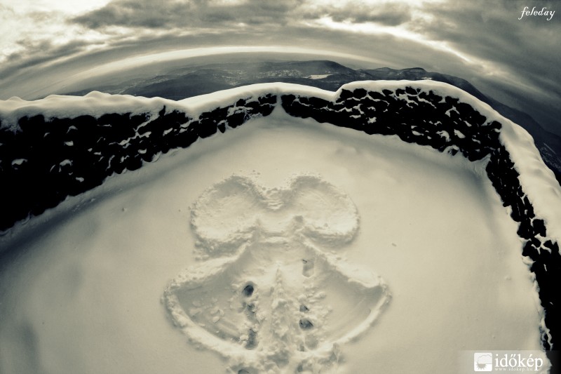 Hóangyal a Salgói várban 