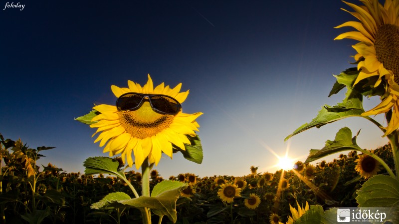 Nyár van neki is :)