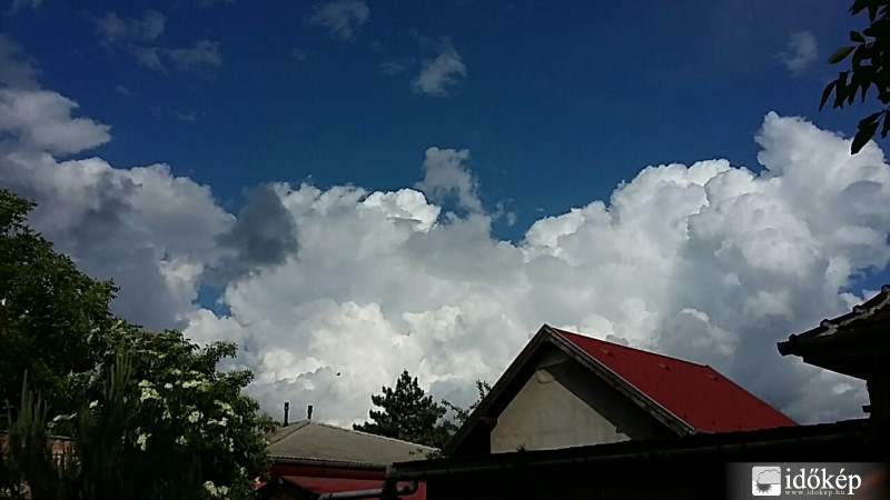 Észlelési fényképek