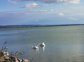 Balatonrendes
