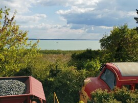 Balatonrendes