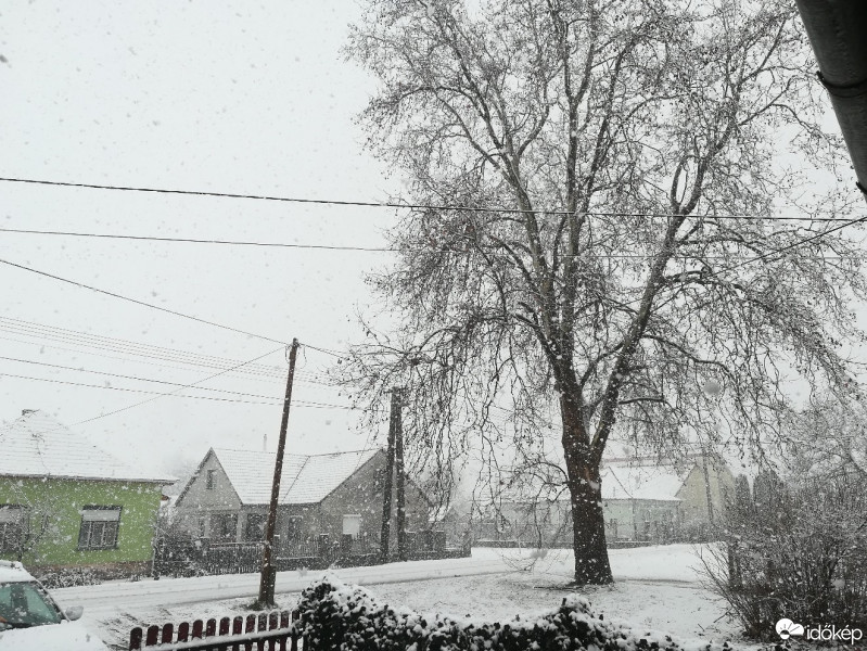 Észlelési fényképek