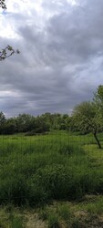 Kutas