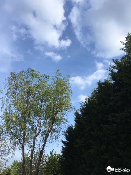 Észlelési fényképek