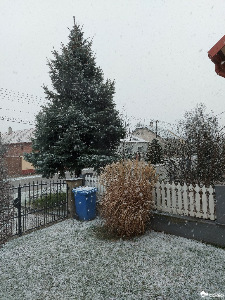 Észlelési fényképek