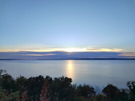 Balatonaliga