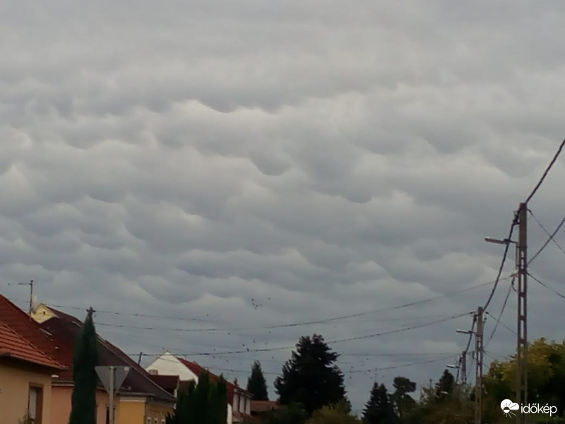 Nagykanizsa, 10h, 1.kép