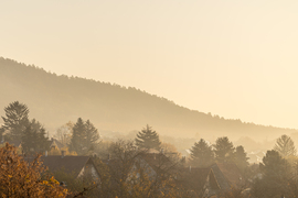 Napos, ködös reggel