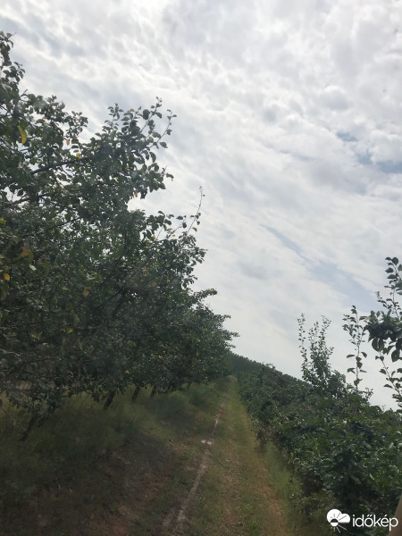 Észlelési fényképek