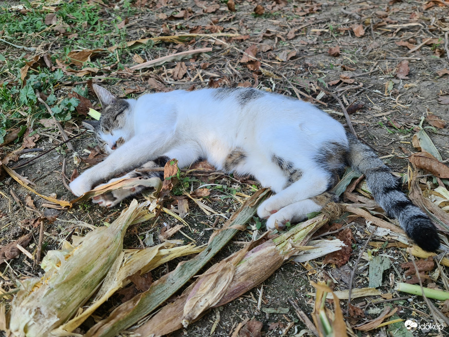 Még egy kis pihenő