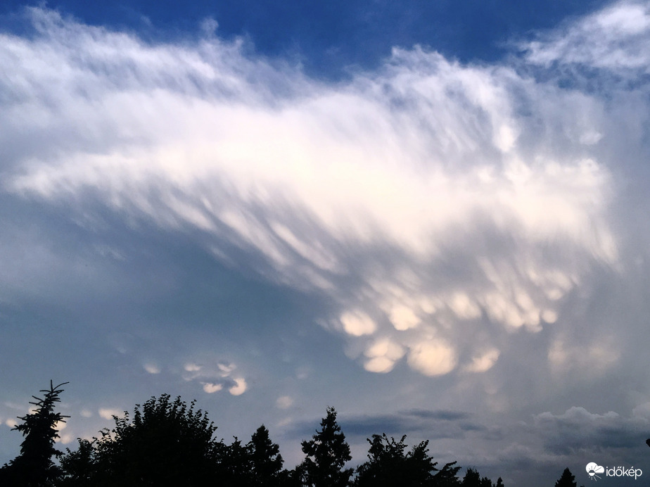 Mammatus