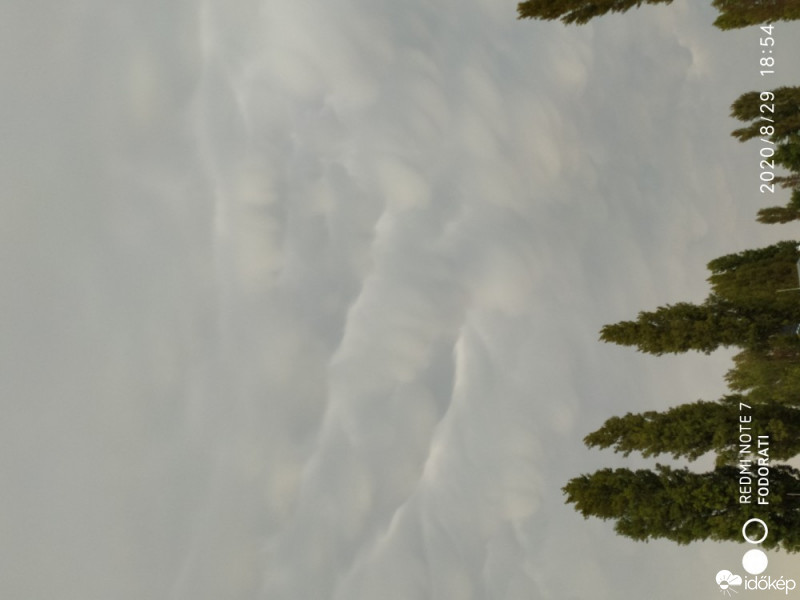 Észlelési fényképek