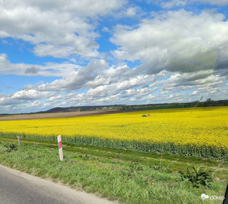 Észlelési fényképek