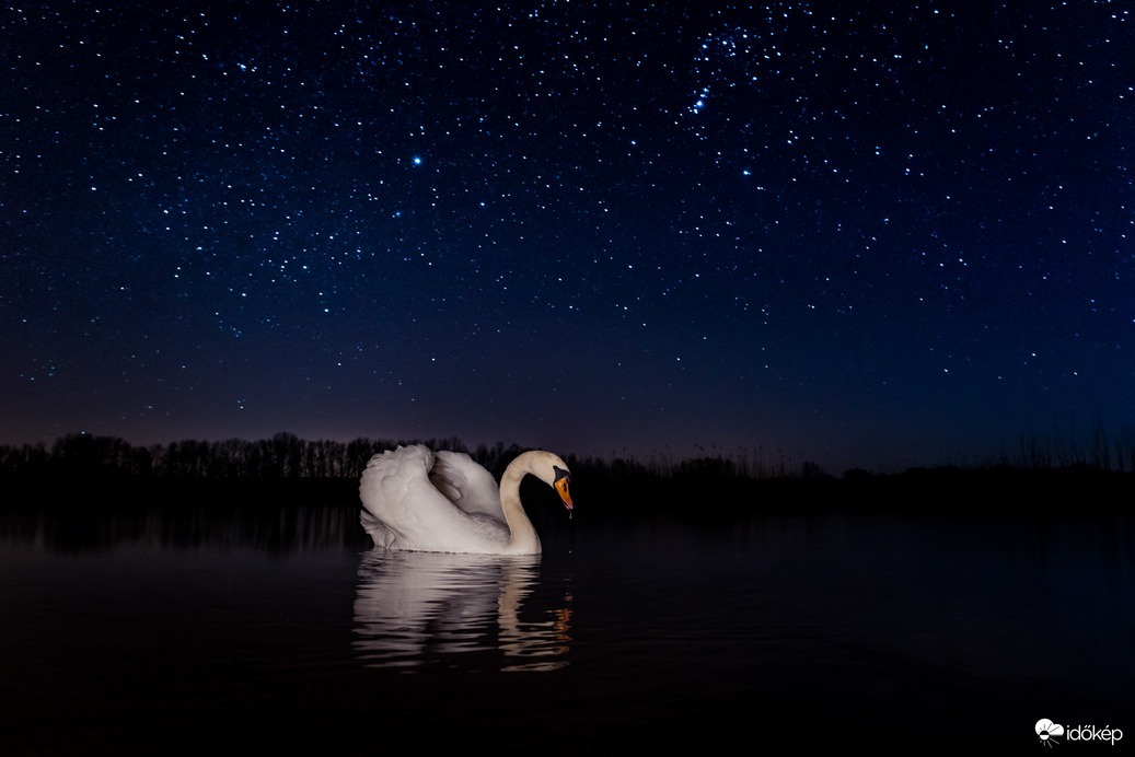 A csillagok alatt megpihenve :)