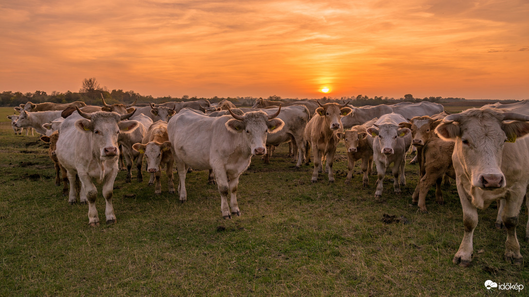 Marhajó nap volt! :) HN