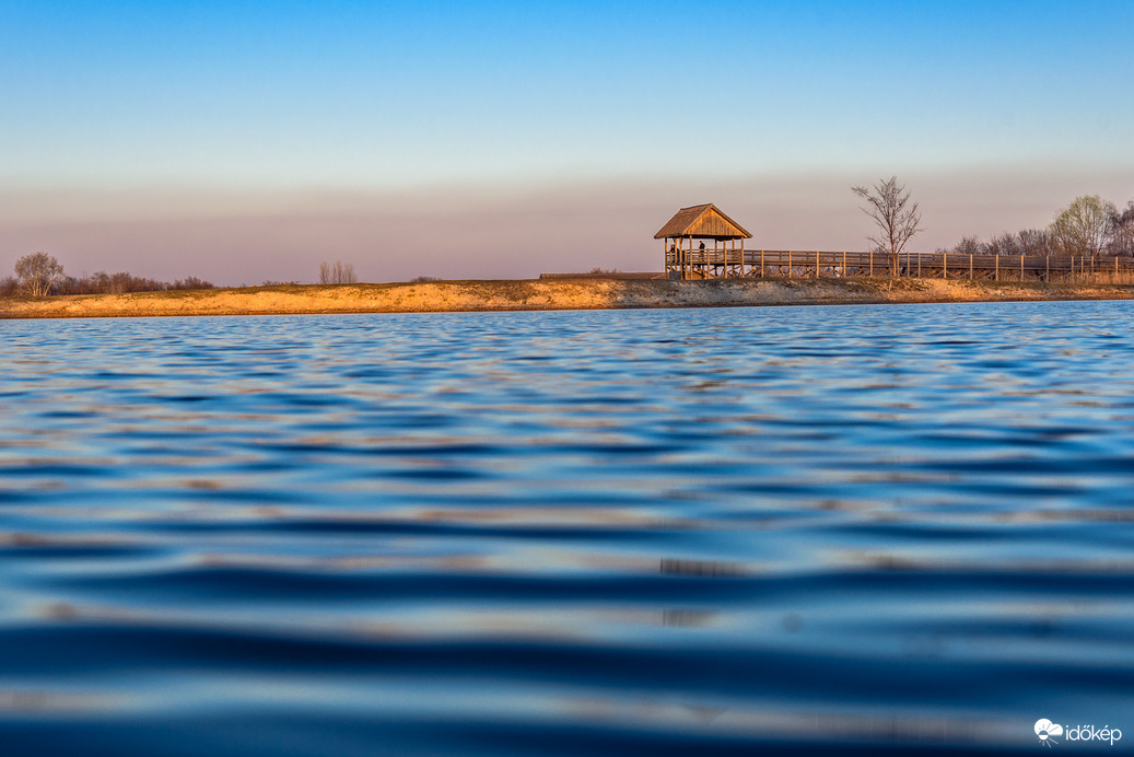Bivaly megfigyelő mögött jól látszik a szaharai pór! HN :)