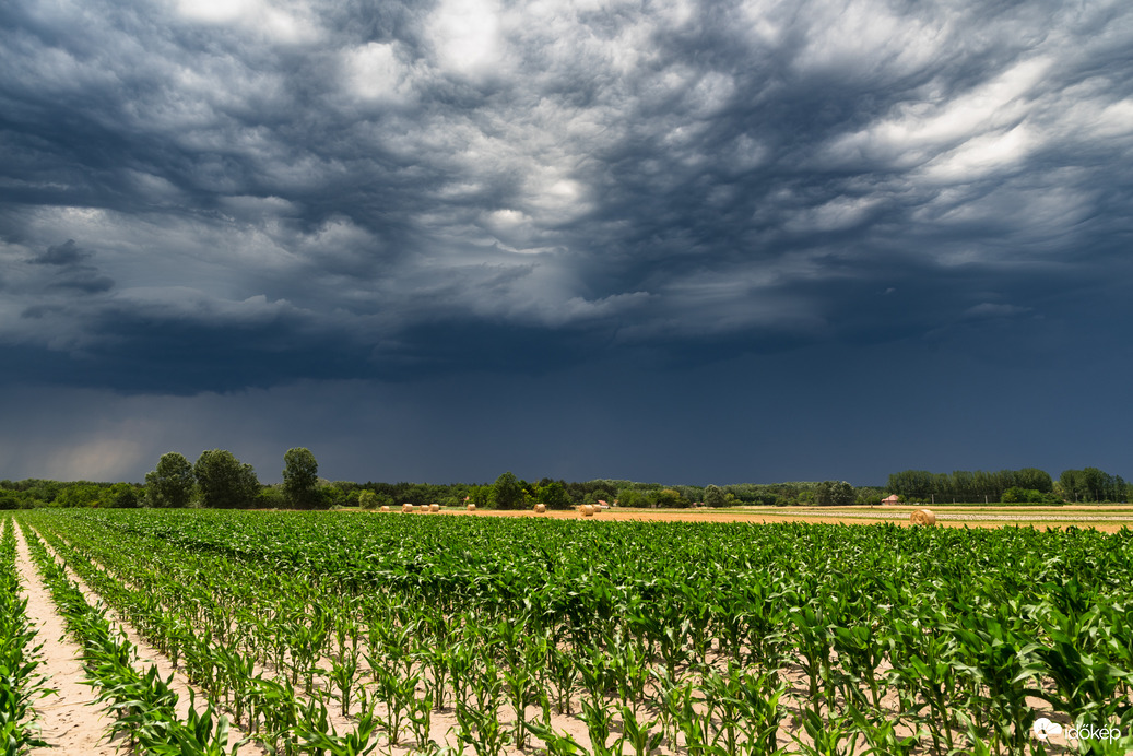 Így érkezett Ruzsára a lehülés