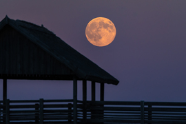 Senki nem jött nézni innen :(