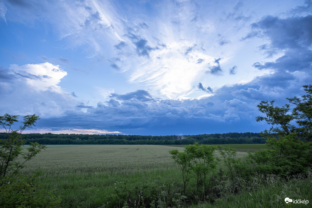 Észlelési fényképek