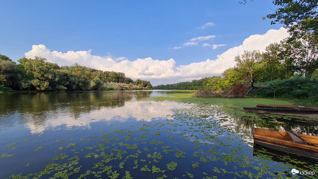 Körtvélyesi  Tisza holt-ág