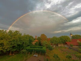 Csallóközaranyos