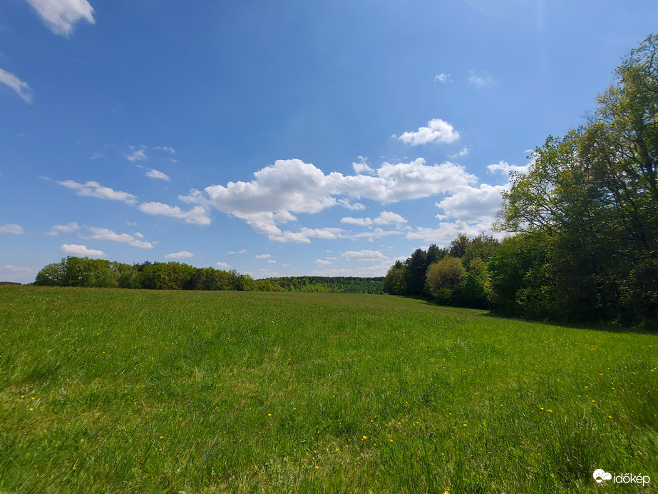 Egy zalai rét selyem fűtengere
