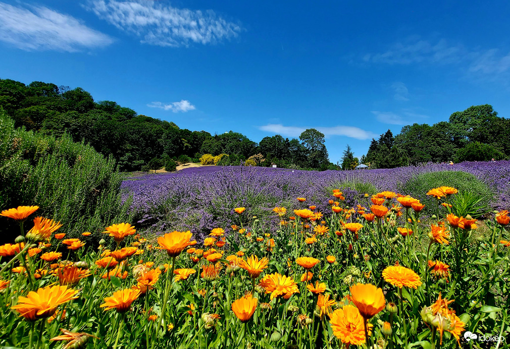 Jószomszédi viszony :)