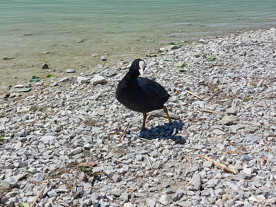 Óó,fotózol!Engem!Akkor pózolok!