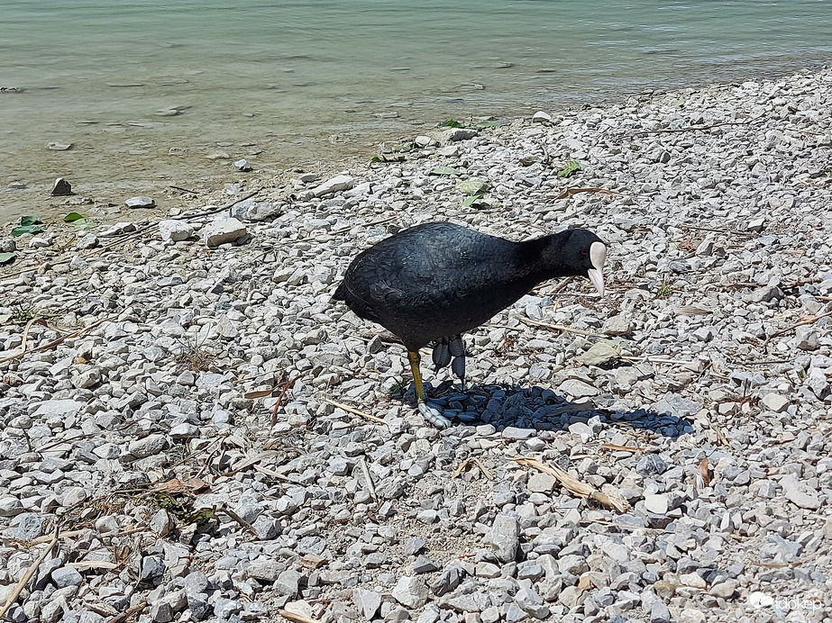 Szia!Te ki vagy és mit csinálsz?