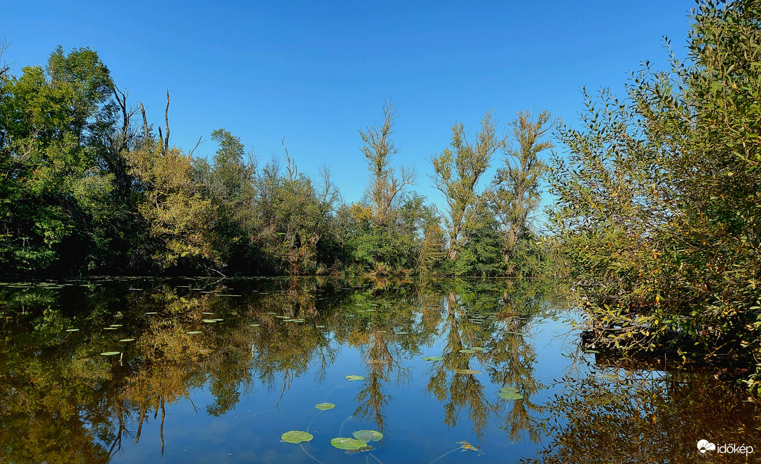 Lassan belopózik az ősz