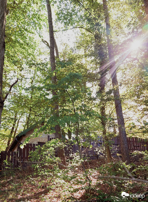 Erdő szélén házikó