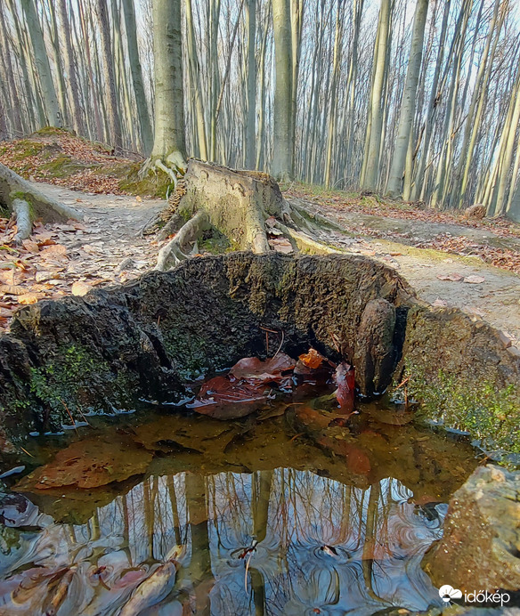 Tükröm,tükröm...