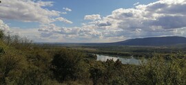 Vác-Nyulas