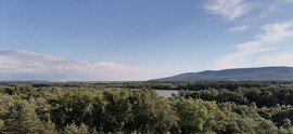 Verőce