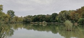 Vác