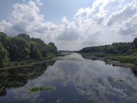 Zala folyó  kis Balatonnál. 