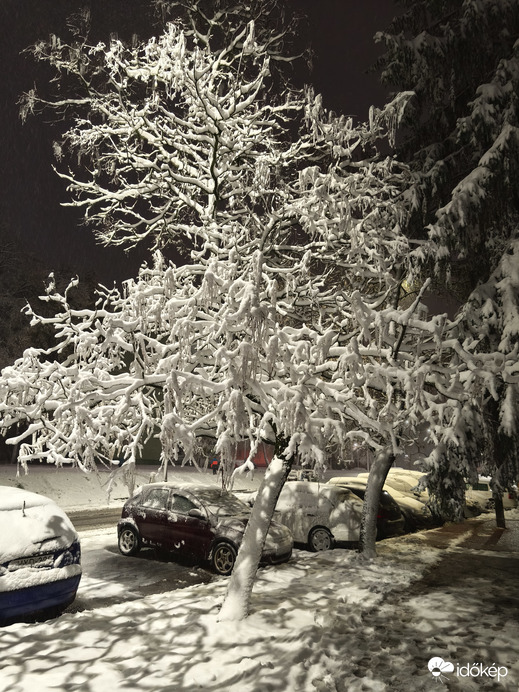 Amikor a fa àgai hóból vannak. :)