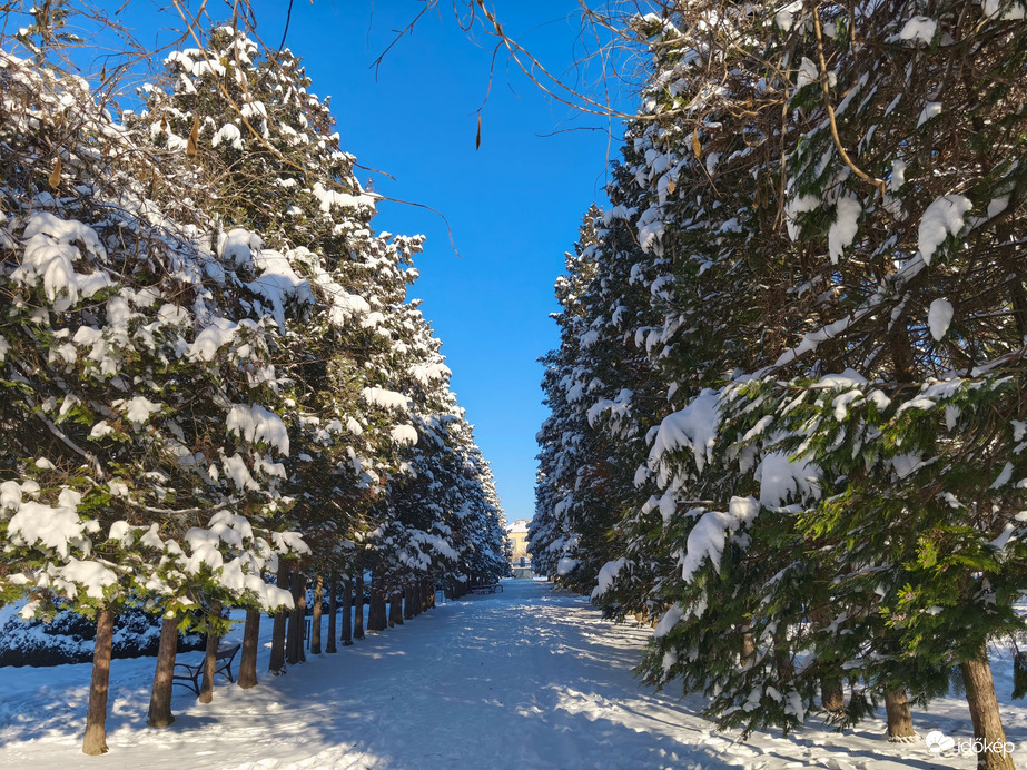 Kaposvár Szabadság park 1