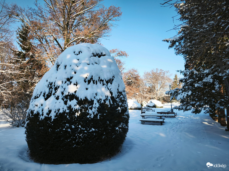 Kaposvár Szabadság park 6