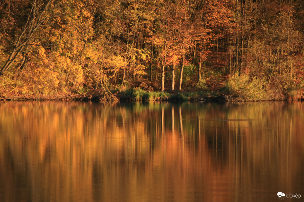 ... őszi színek ...