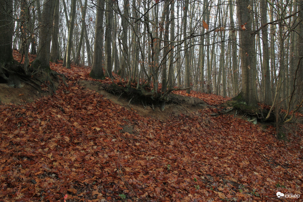 ... még kapaszkodnak, de meddig ...