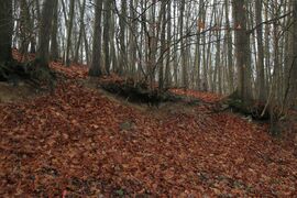 ... még kapaszkodnak, de meddig ...