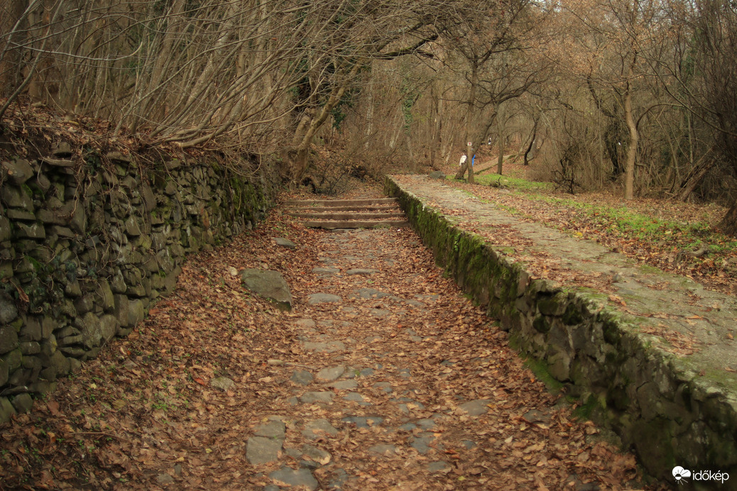 Felfelé a badacsonyi hegyre